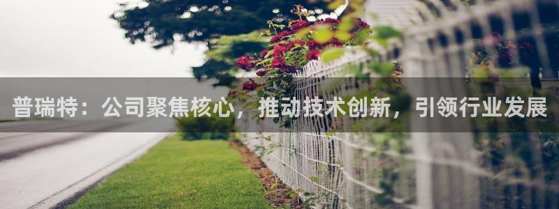 云顶国际是做什么的