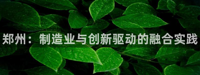 云顶1026