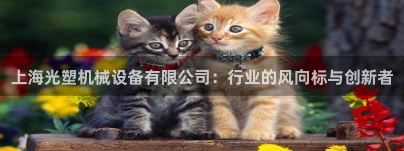 云顶国际AB网