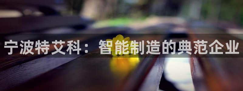 云顶国际服能用谷歌登录吗