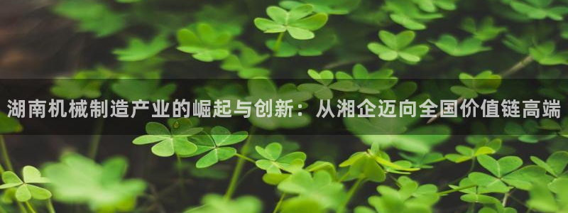 云顶集团网投领头