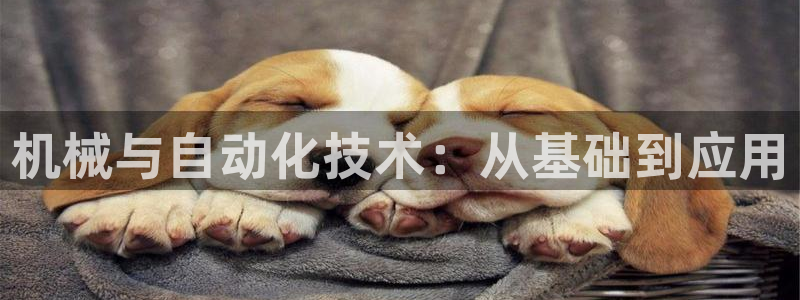 云顶国际集团游戏app