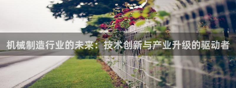 云顶国际提现不到账怎么办