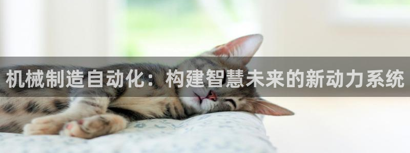 云顶国际游戏网址
