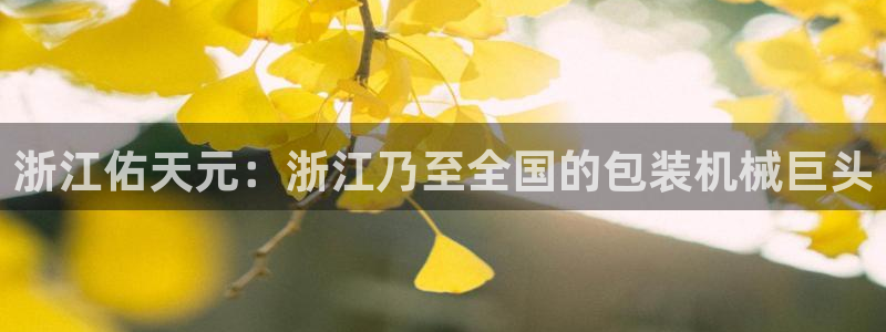 太原云顶国际酒店老板