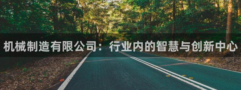 云顶国际服官网