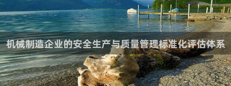 云顶国际服下载