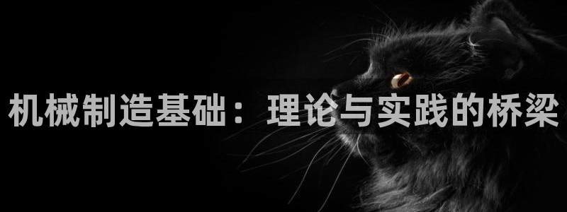 云顶国际提现不到账什么原因