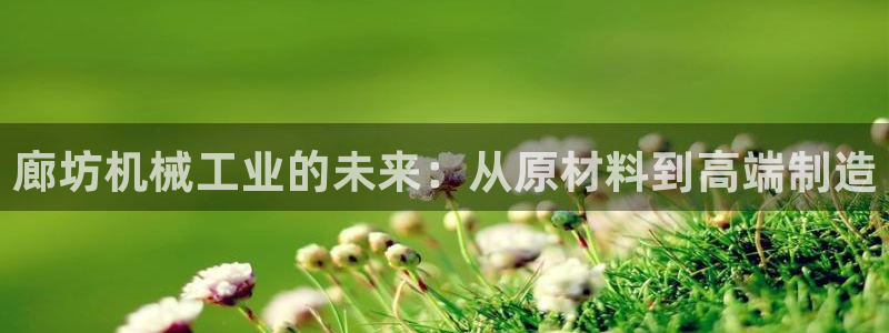 云顶国际区块链怎么样