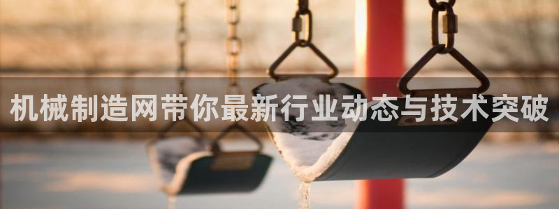 云顶集团公司简介