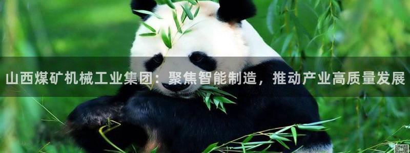 云顶国际装饰设计招聘