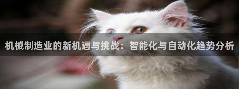 云顶国际集团官网