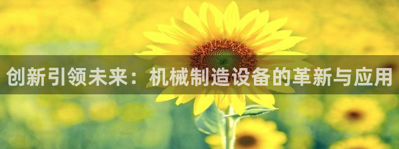 云顶集团网站多少钱一个