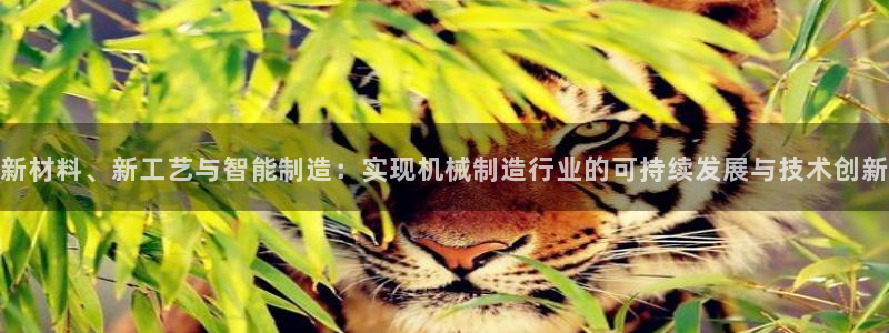 云顶国际服mac汉化