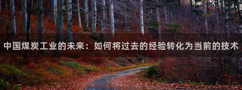 云顶国际测试服免费