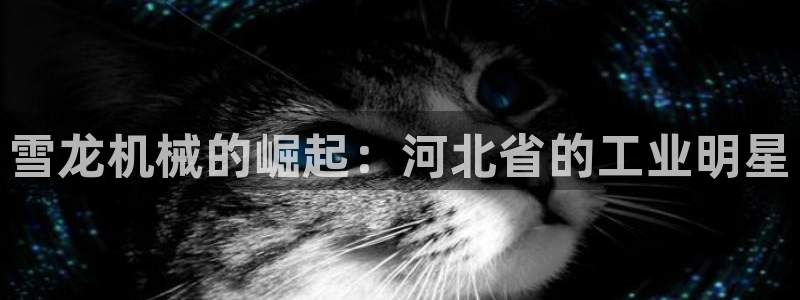 太原云顶国际酒店桑拿几楼