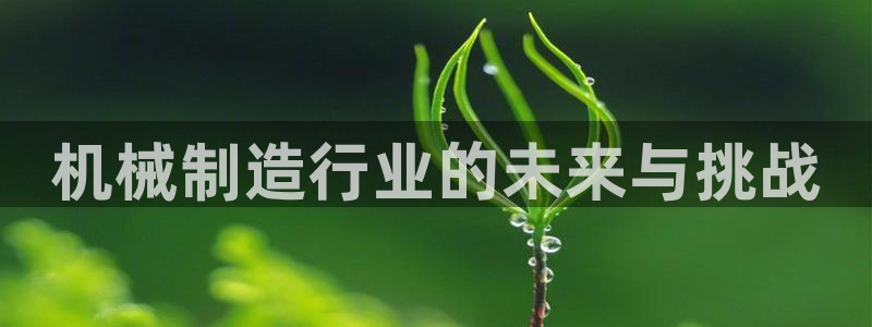 云顶国际app怎么样好用吗