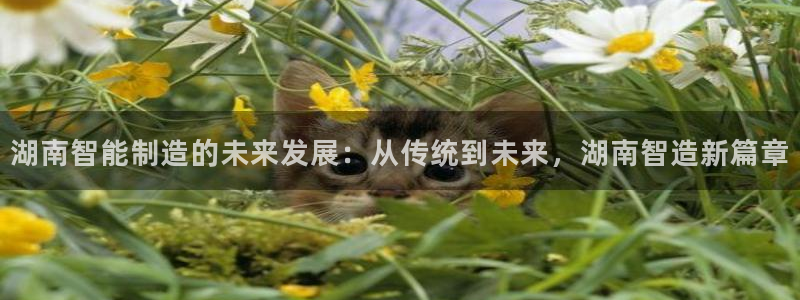 云顶国际游轮