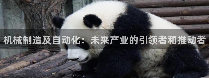 云顶国际网页