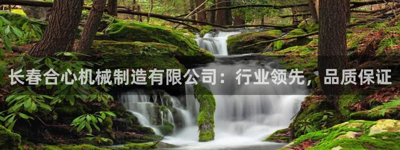 云顶国际平台游戏官网入口