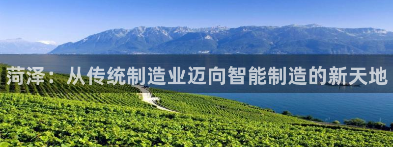云顶国际旅行社官网