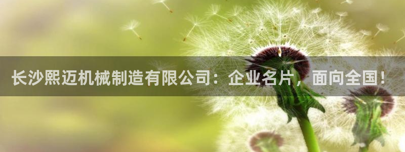 云顶游戏网站网址
