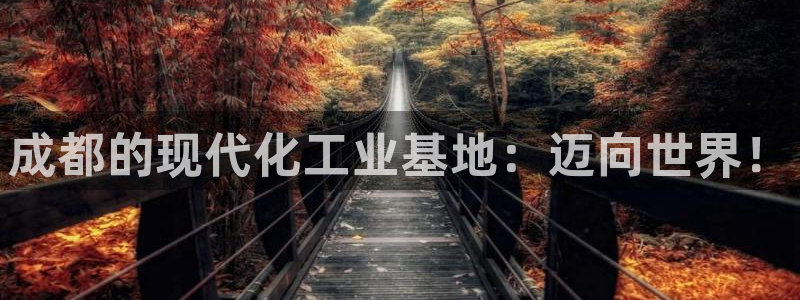 云顶国际教育