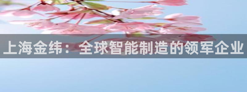 云顶国际酒店老板简介