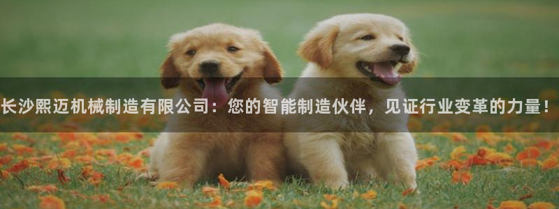 云顶com