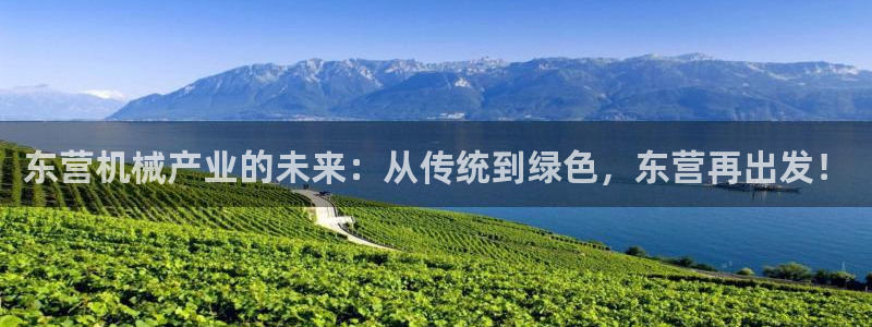 云顶国际测试服免费领取