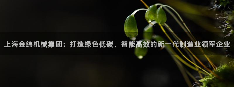 云顶国际服选哪个服务器好