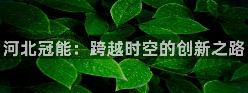 云顶国际是做什么的公司