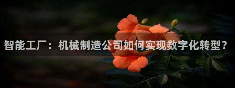 云顶手游国际版