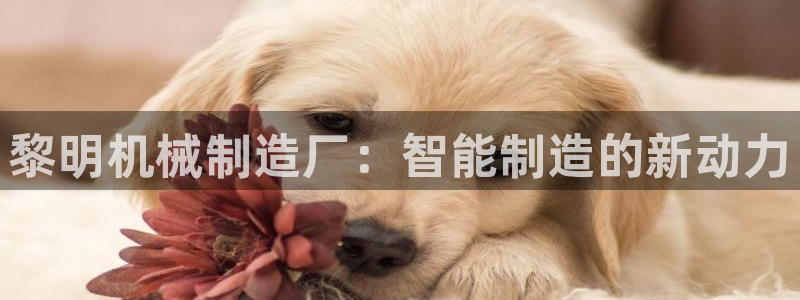 云顶国际物业电话