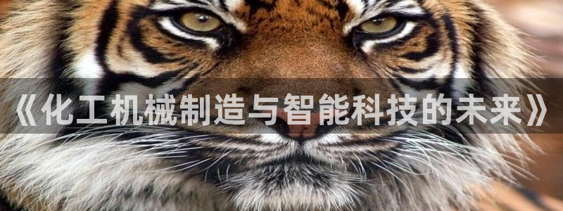 云顶国际足球app下载