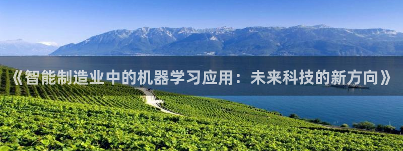 云顶国际测试服