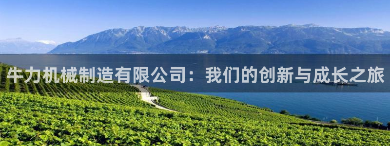 12311云顶线路检测