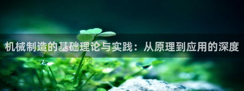 云顶国际高中d s e班学费多少