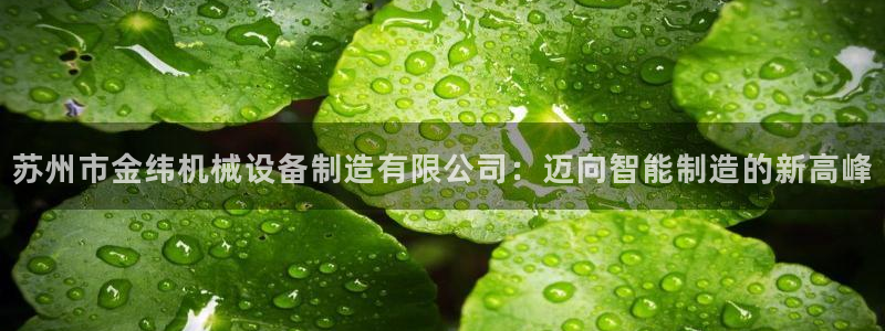 云顶集团最新官方网站入口