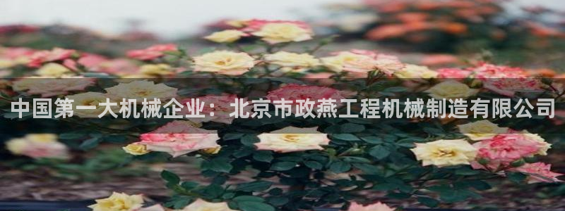云顶国际前台电话号码