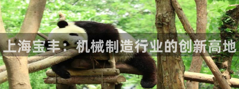 云顶集团有限公司,林东简历