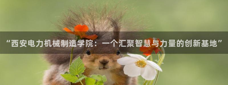 云顶oce