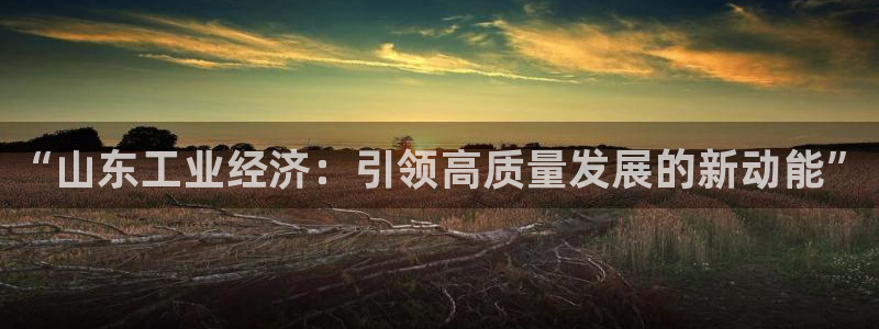 上海云顶国际会所有什么服务