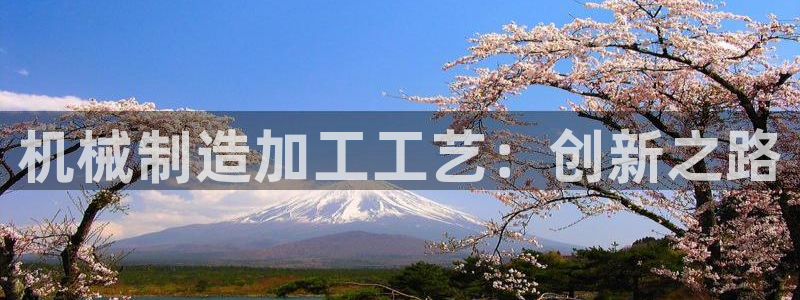 云顶国际软件