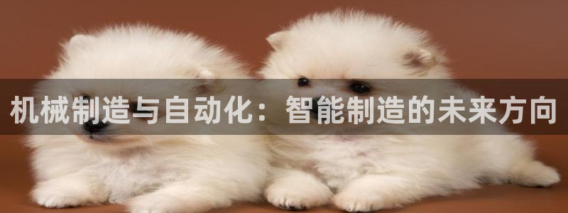 云顶国际在哪里