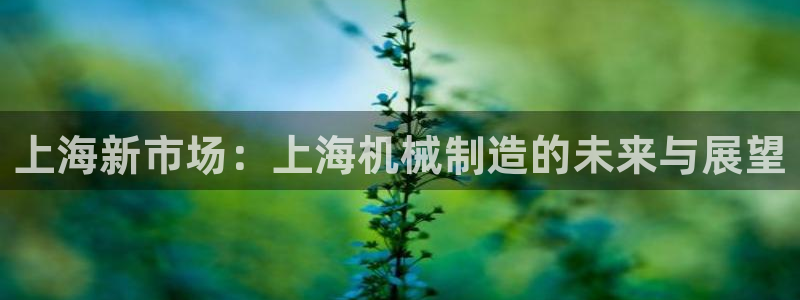 云顶国际app官方