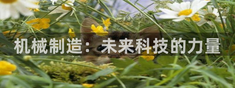 云顶国际二手房出售最新信息