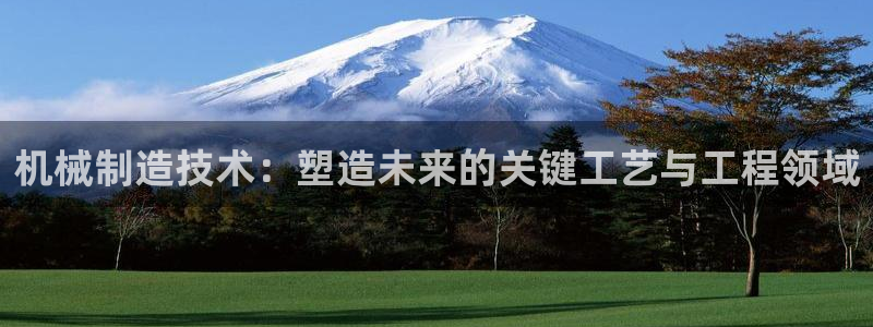 云顶国际服怎么下载