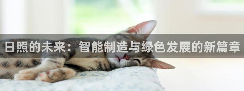 云顶集团董事长是谁