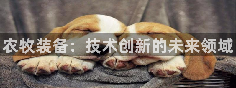 云顶国际手机app下载